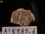 V16d9506 A1q985.6 N823 gg si.jpg